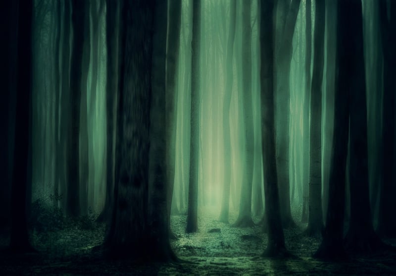 Mystical Trees