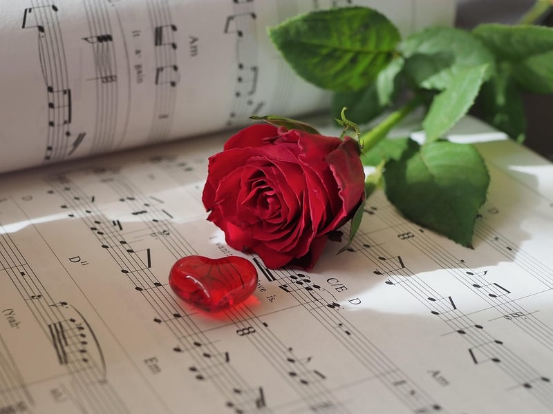 Rose flower